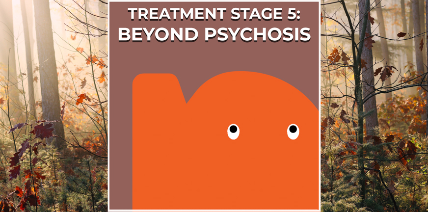 Treatment and recovery stage 5 * PsychosisNet